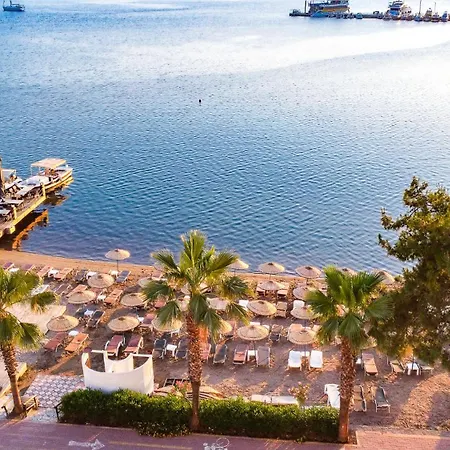 Marbas Select , Adult Only 14 Icmeler