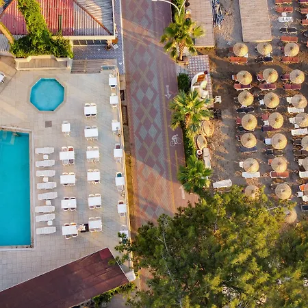 Marbas Select , Adult Only 14