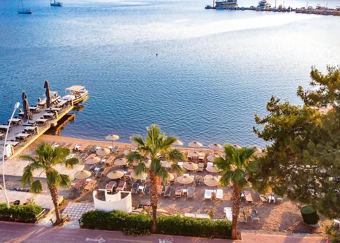 Marbas Select , Adult Only 14 Ичмелер