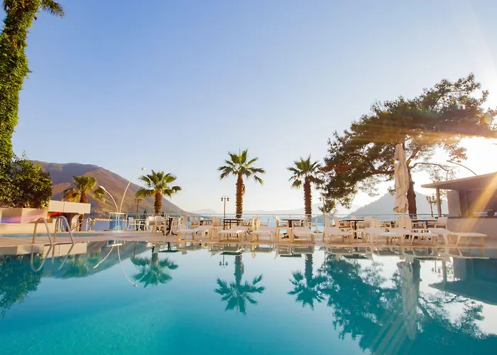 Marbas Select , Adult Only 14 3*